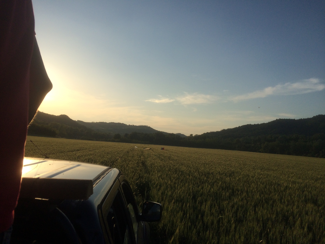 Fuoricampo Mery2 voghera